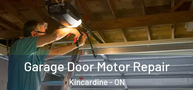  Garage Door Motor Repair Kincardine - ON